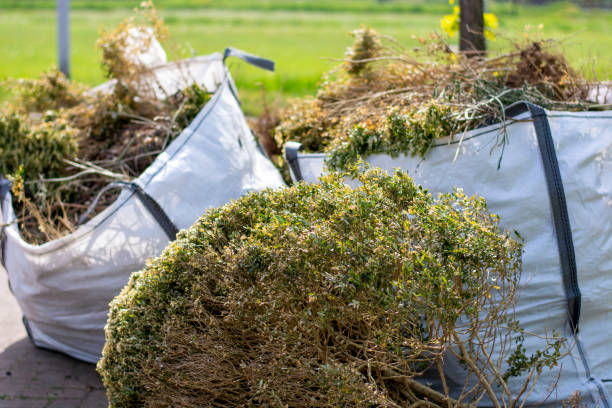 Best Estate Cleanout  in Fairview, MT
